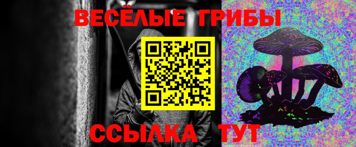 Галлюциногенные грибы ЛСД Дубна